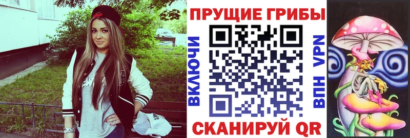Псилоцибиновые грибы мицелий  Купить закладки  Бобров 
